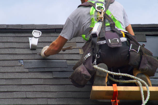 Best Residential Roof Replacement  in Northville, MI