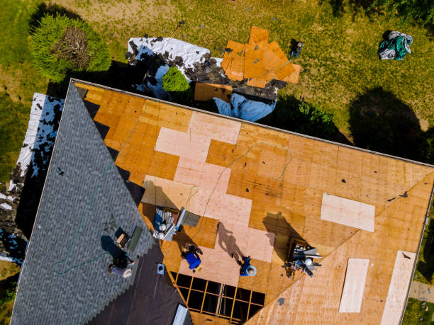 Best Emergency Roof Repair  in Northville, MI
