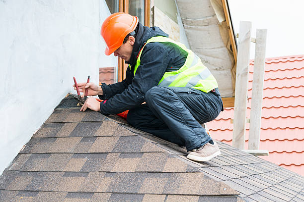 Best Storm Damage Roof Repair  in Northville, MI