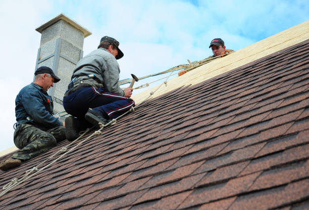 Best Gutter Installation and Roofing  in Northville, MI
