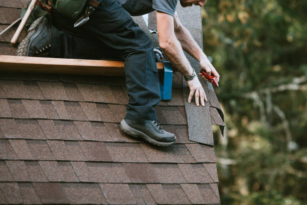 Best Storm Damage Roof Repair  in Northville, MI